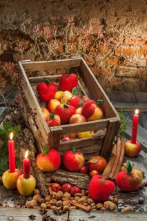 Christmas decoration