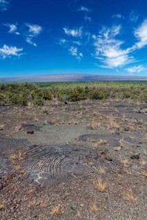 Pahoehoe lava from Kilauea volcano eruptions