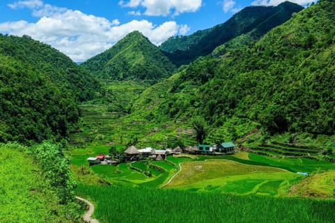 Bangaan in the rice terraces of Banaue