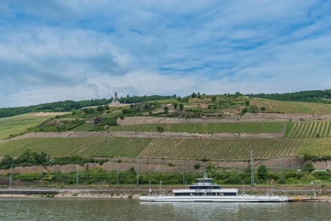 Vineyards with Niederwald Monument
