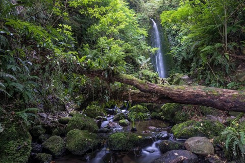Waterfall