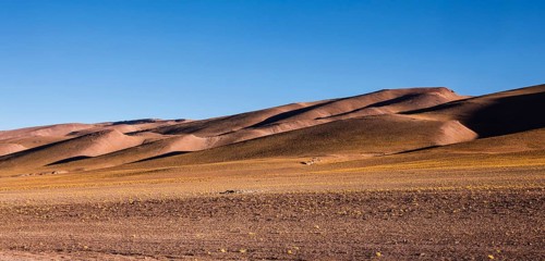 Andean Plain