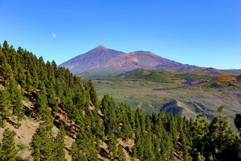 Volcano Pico del Teide and Pico Viejo
