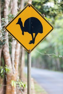 Warning sign on the side of the road