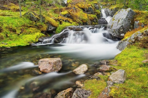 Small stream near Skei