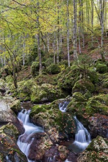 Watercourse of the autumnal Lepenjica