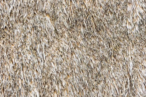 Weathered thatched roof