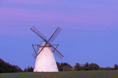 Dutch windmill in evening light