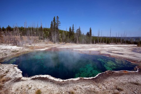 Abyss Pool