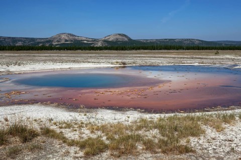 Opal Pool