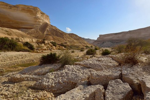 Limestone canyon of Wadi Shuwaymiyah