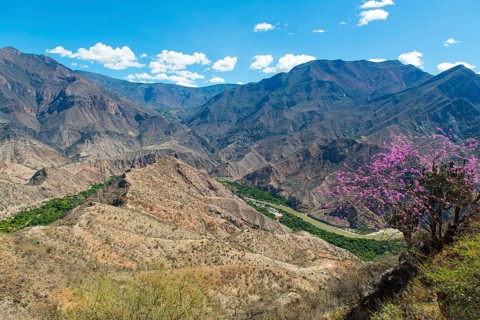 Central Andes