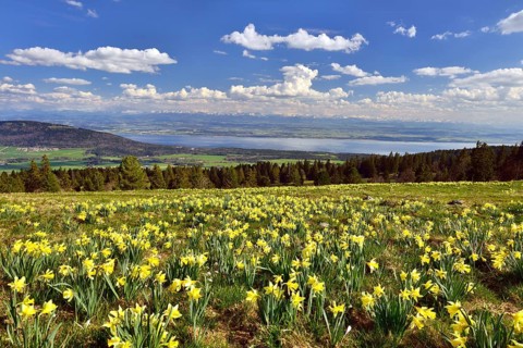 View from Swiss Jura