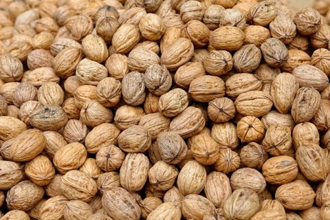 Persian walnuts