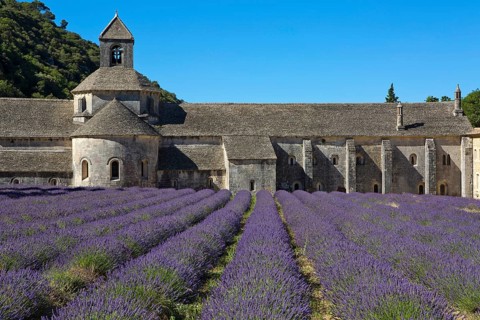 Romanesque Cistercian Abbey Notre Dame of Senanque
