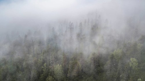 Drone shot