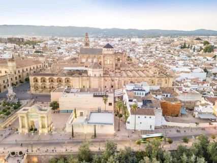 Aerial view of mosque