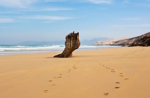Beach of Barlovento