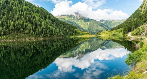 Forest and mountains