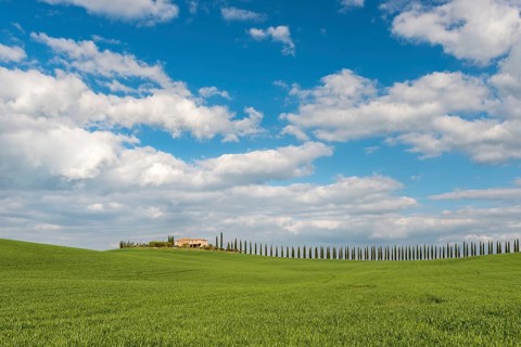 Country estate Poggio Covili with road lined with cypress trees