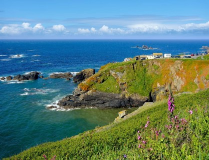 Lizard Point