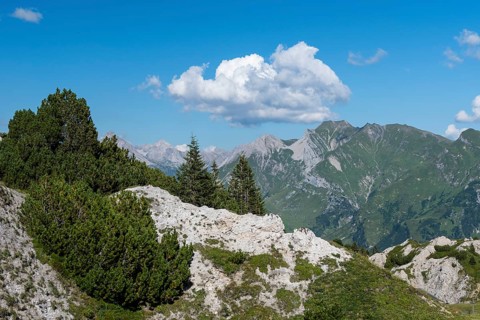 Gipslocher Nature Reserve