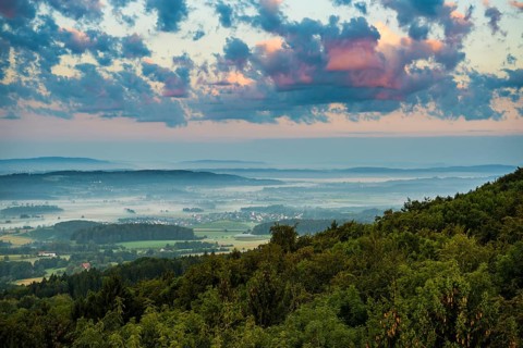 View from Gehrenberg with morning mist