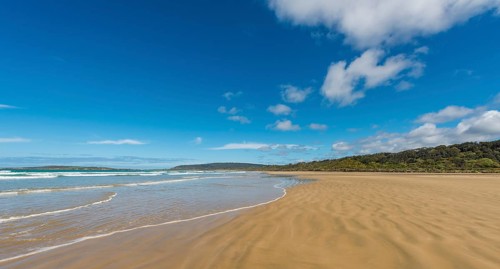 Sandy beach Tautuku Bay