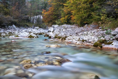 River Koritnica in autumn