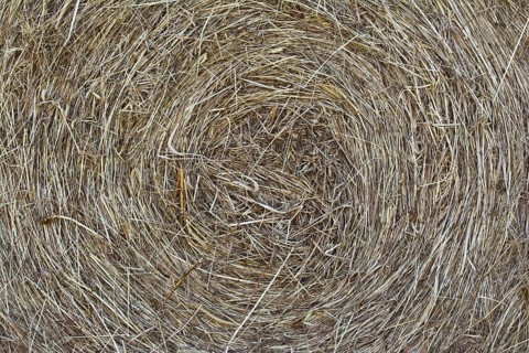 Straw bale