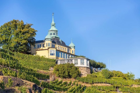 Spitzhaus in vineyard