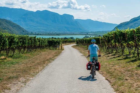 Cyclist with mountain bike