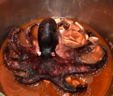 Whole baby octopus in pot