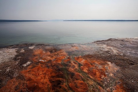 Mineral deposits in the West Thumb Geyser Basin