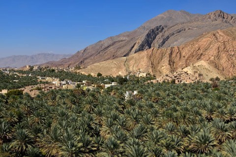 Birkat al Mawz oasis