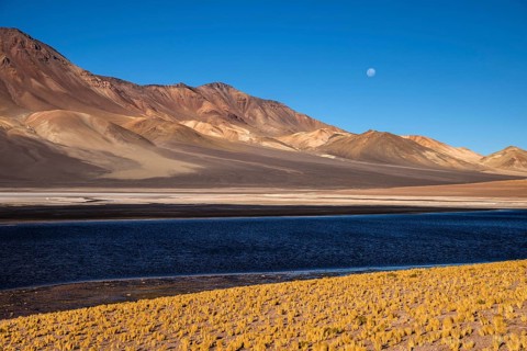 Andean Plain