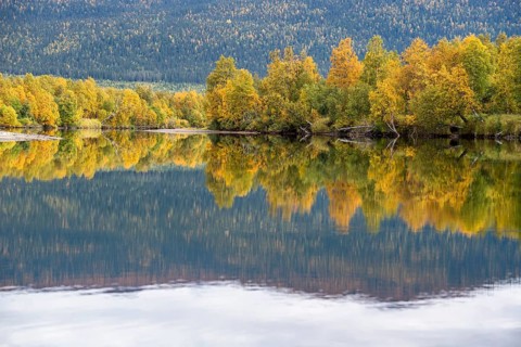 River Tarraatno in autumn