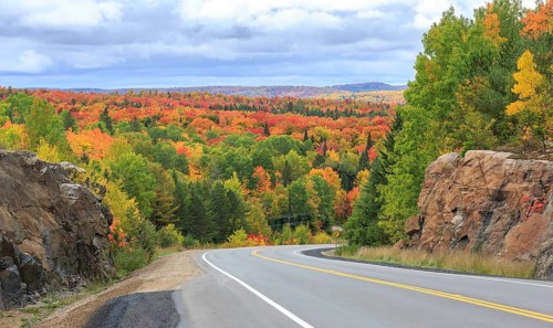 Road through autumn forest