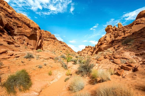 Rainbow Vista Trail