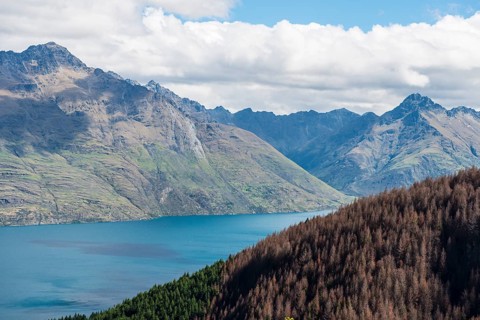 View of Lake Wakatipu