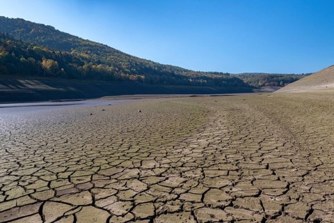 Dry cracks in the soil