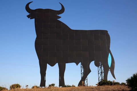 Black silhouette of a bull