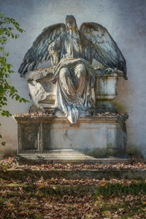 Unknown expired grave with angel