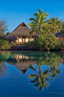 Bungalow with palm trees by the water