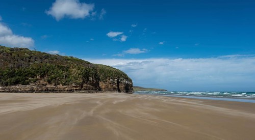 Beach Waipati Beach