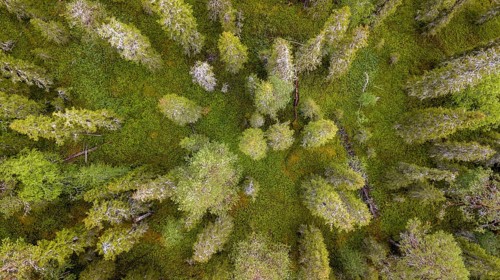 Drone shot