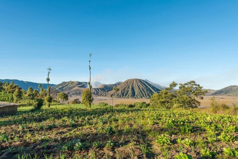 Fields in front of Mount Batok