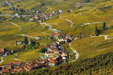 Vineyards in autumn with view of winemaking villages Epesses and Riex
