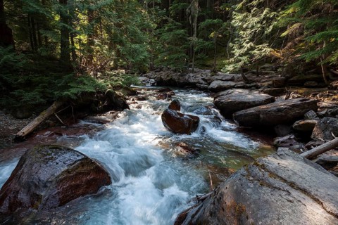 Wild creek