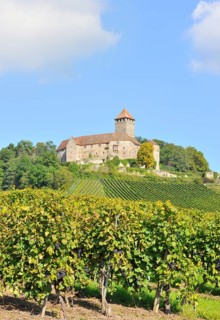 Castle Lichtenberg